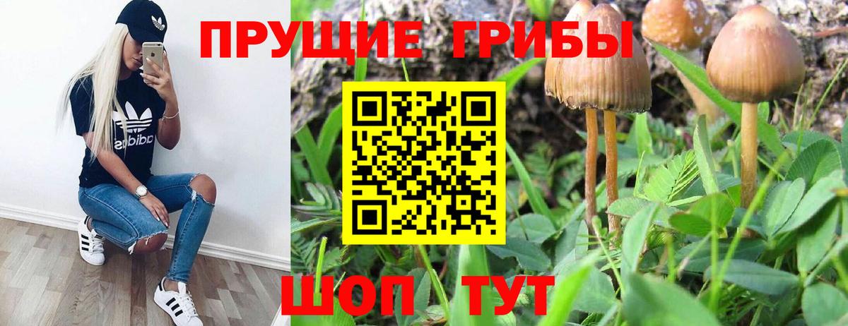 A-PVP Коряжма