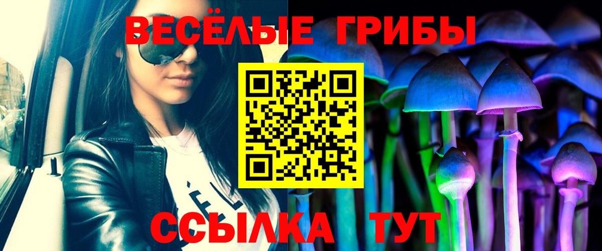 Псилоцибиновые грибы Cubensis Коряжма