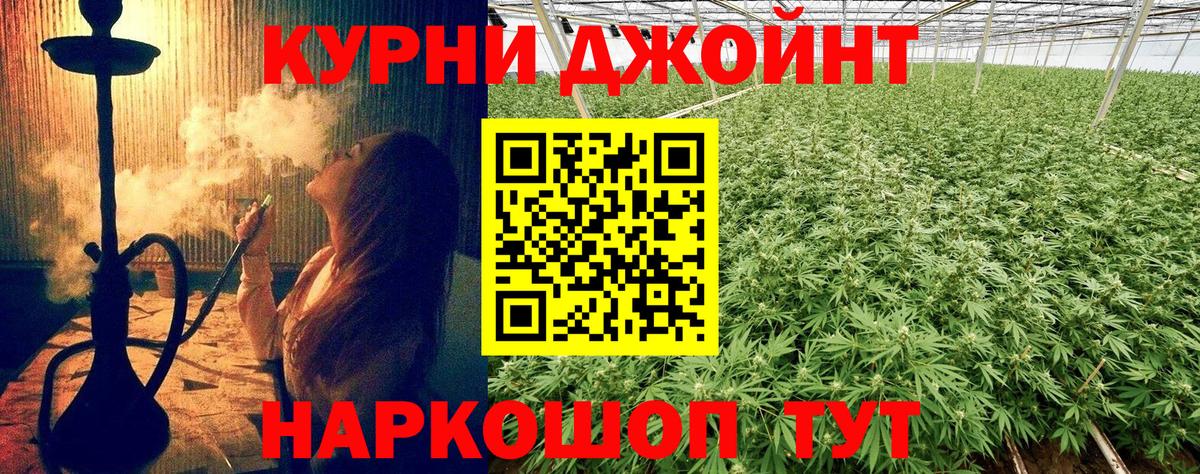 Марихуана гибрид Коряжма